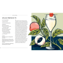 Ampersand Books*Behind The Bar: Gin: 50 Gin Cocktails From Bars Around The World
