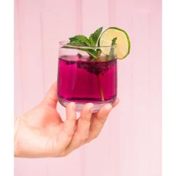 Maiden Voyage Cocktail Co Smoking & Infusion Tools*Blueberry Mint Infusion Kit