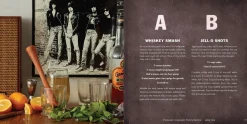 Manda Group - Hachette Books*Booze & Vinyl: A Spirited Guide To Great Music And Mixed Drinks