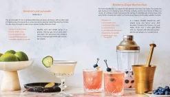 Manda Group - Hachette Books*Booze Cruise: A Tour Of The World's Essential Mixed Drinks