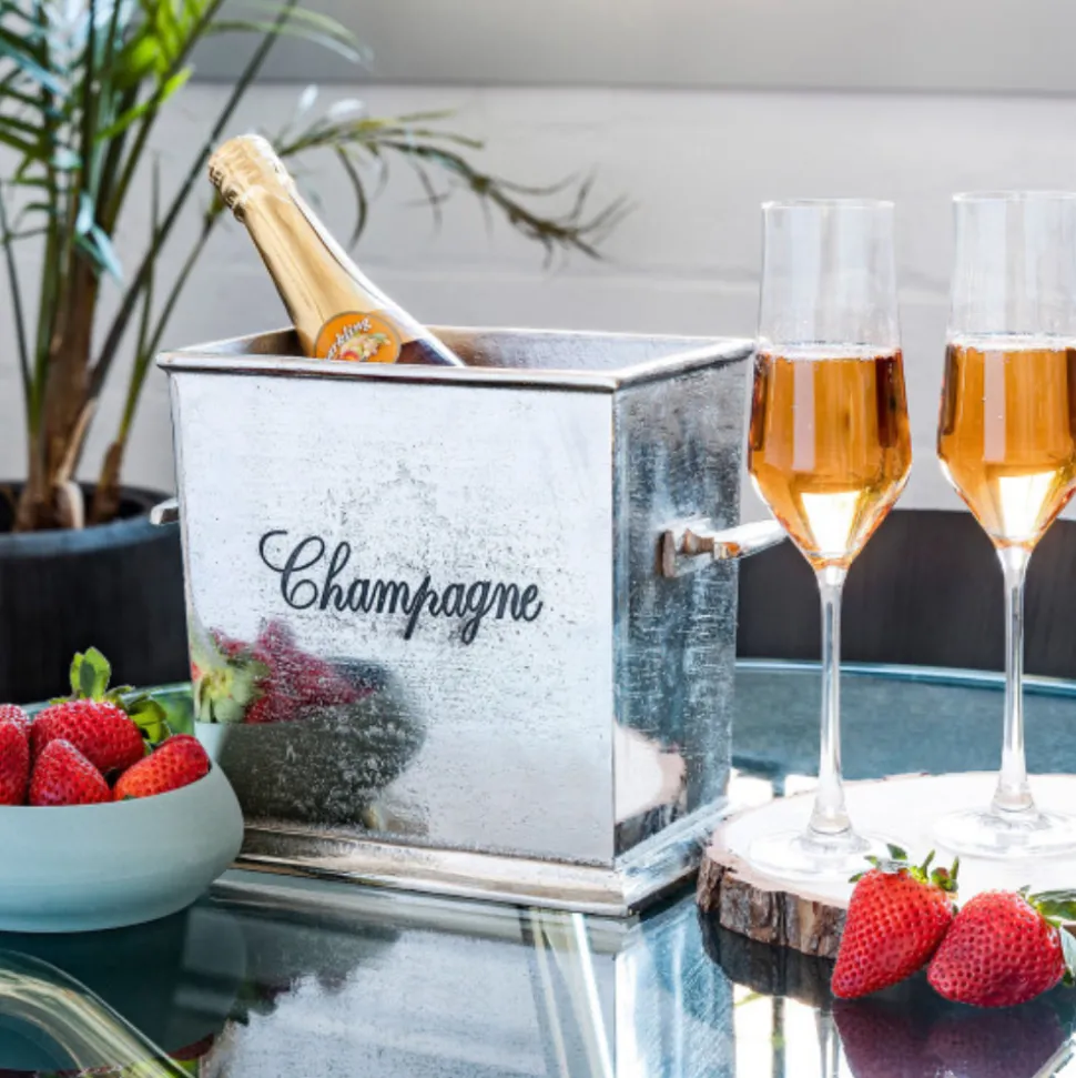 ICM Wine*2-Bottle Champagne Chiller