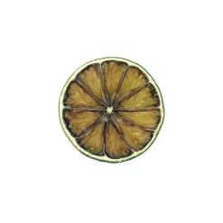 Blue Henry Spirits Garnishes*Dehydrated Lime Wheels