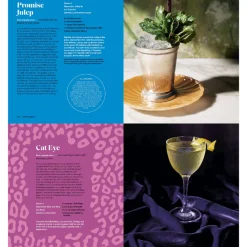 Penguin Random House Books*Drink Lightly: A Lighter Take On Serious Cocktails, With 100+ Recipes For Low- And No-Alcohol Drinks