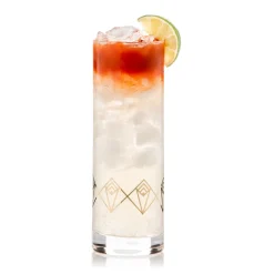 Better Refined - CHINA Highball Glasses*Gold Dream Deco Highball