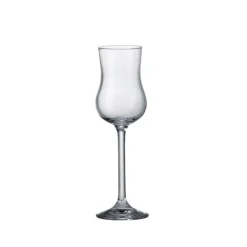 ICM Spirit Tasting*Grappa Glass