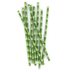 Kikkerland Straws*Bamboo Paper Straws