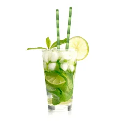 Kikkerland Straws*Bamboo Paper Straws