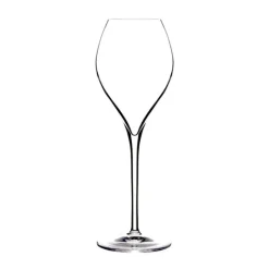 Enterprises JESEMI Inc. Wine*Lehmann Champagne Glass 180Ml
