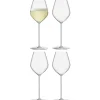 David Shaw Wine*Lsa Borough Champagne Tulips (Set Of 4)