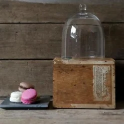 Creative Co-Op Smoking & Infusion Tools*Mini Cloche Dome