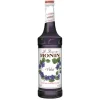 Mountain View Estates Syrups*Monin Violet Syrup
