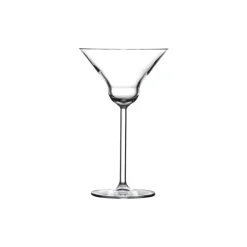 Pasabahce USA Inc. Martini*Nude Martini Glasses (Set Of 2)