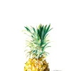 Niki Kingsmill Tiki*Pineapple Greeting Card