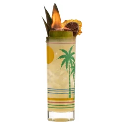 China Potion House Bar Tools*Retro Tropical Collins Glass