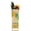 China Highball Glasses*Retro Tropical Collins Glass