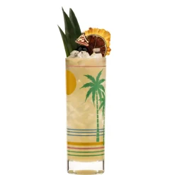 China Highball Glasses*Retro Tropical Collins Glass