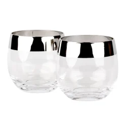 China Potion House Bar Tools*Silver Rim Tumblers (Set Of 2)