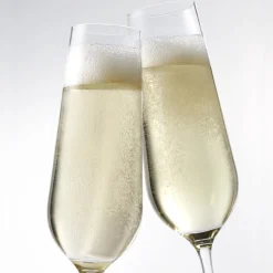 Trudeau Wine*Splendido Champagne Flutes (Set Of 4)