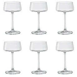 David Shaw Coupes / Nick & Nora*Xtra Champagne Coupe